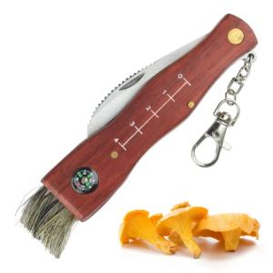 Champignon couteau pliant boussole brosse